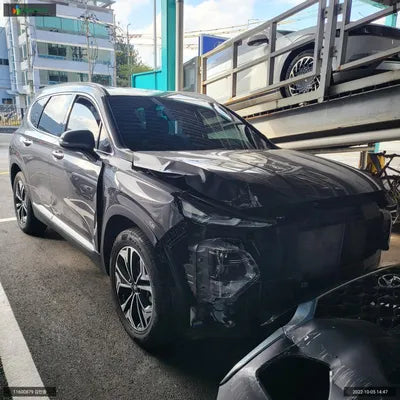 2019 Hyundai Santa FE KMHS381ABLU217424 VIN:KMHS381ABLU217424
