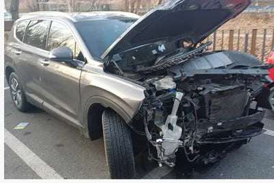 2019 Hyundai Santa FE KMHS281BBKU128573 VIN:KMHS281BBKU128573