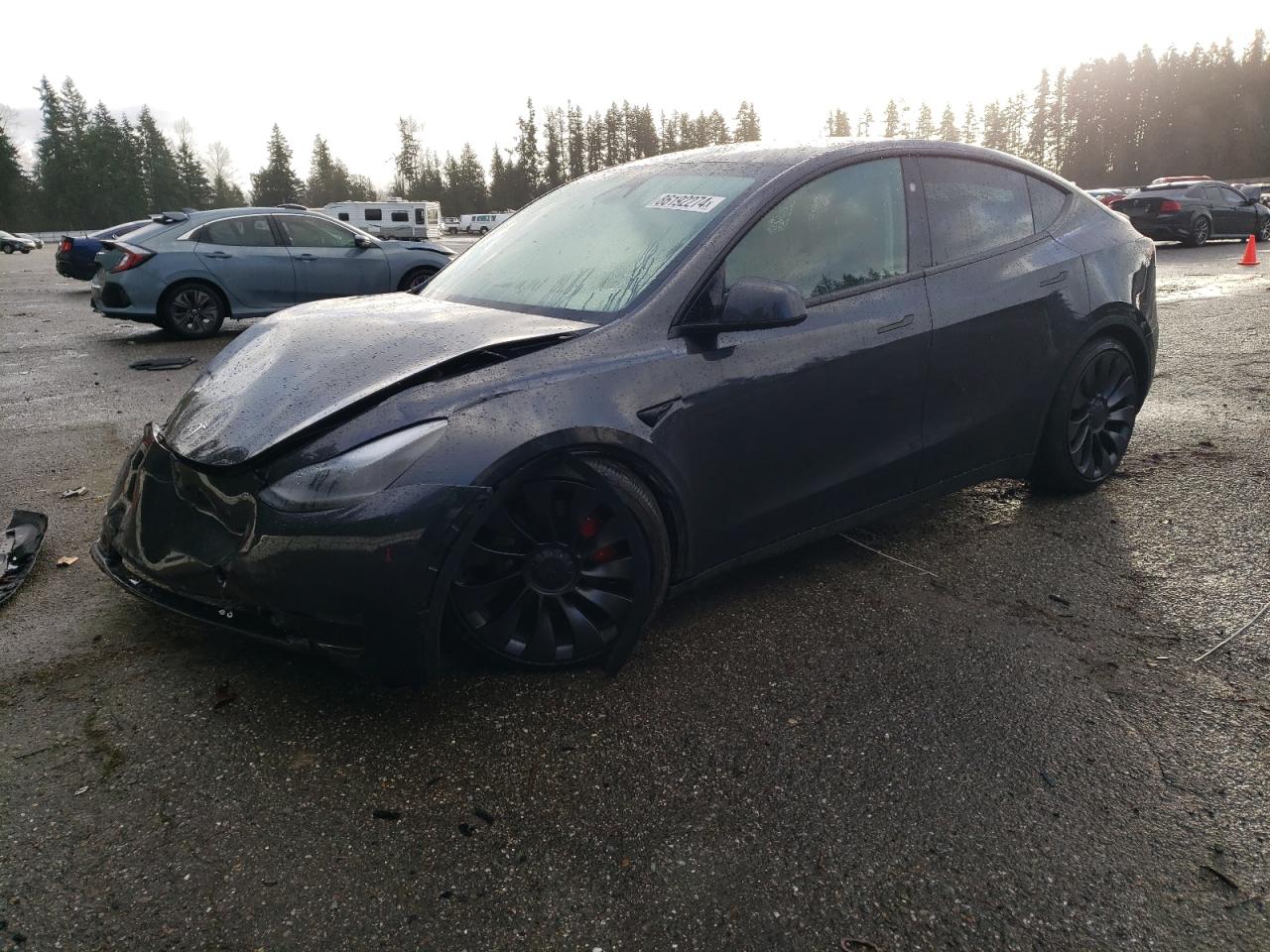 2024 TESLA MODEL Y  VIN:7SAYGDEF5RF123670
