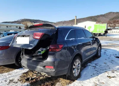 2019 Kia Sorento KNAPS81ABKA509598 VIN:KNAPS81ABKA509598