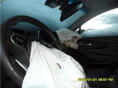 2019 Hyundai Santa FE KMHS381CDKU010058 VIN:KMHS381CDKU010058