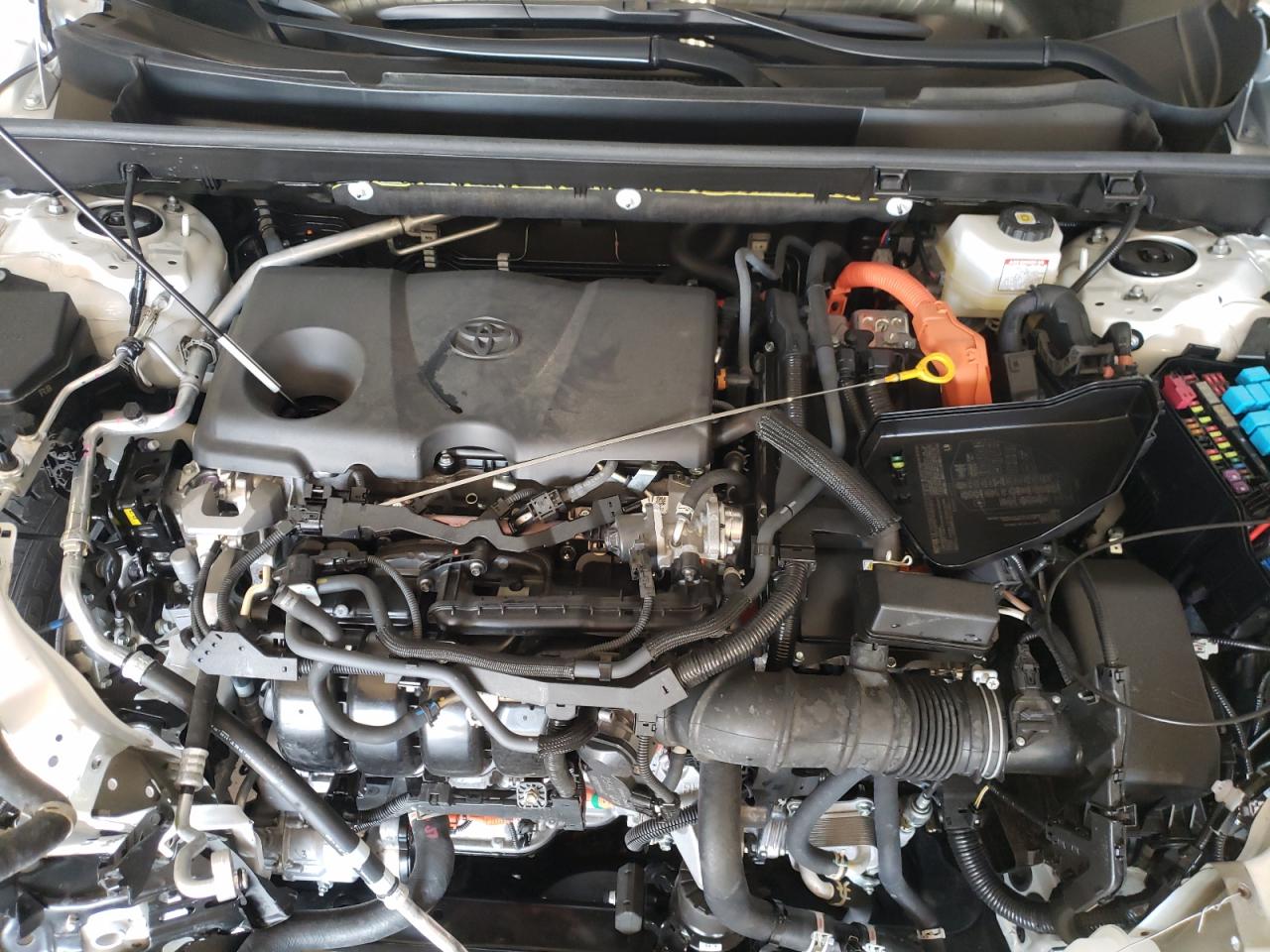 2023 TOYOTA RAV4 XLE VIN:JTMRWRFV7PD204584