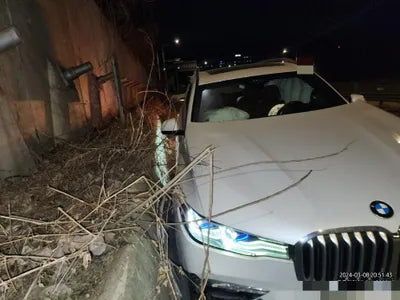 2020 BMW 730 WBACW8106L9C99681 VIN:WBACW8106L9C99681