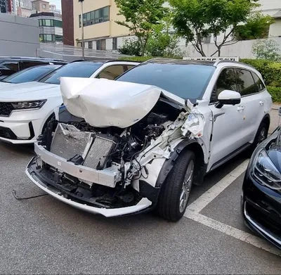 2022 Kia Sorento KNARF81FGNA147334 VIN:KNARF81FGNA147334