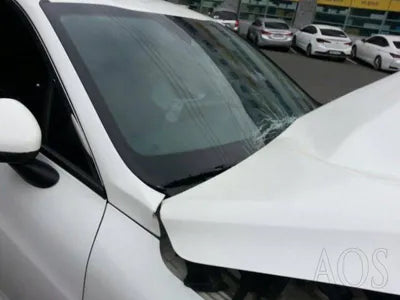 2020 Kia K5 KNAG1412BLA056173 VIN:KNAG1412BLA056173