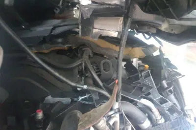 2021 Kia Carnival KNANB81BBMS037266 VIN:KNANB81BBMS037266