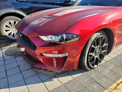 2019 Ford Mustang 1FATP8UH3K5196891 VIN:1FATP8UH3K5196891