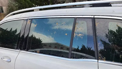 2021 Mercedes-Benz B 250 W1N4M4HB4MW101928 VIN:W1N4M4HB4MW101928