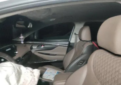 2019 Hyundai Santa FE KMHS381CBKU028156 VIN:KMHS381CBKU028156