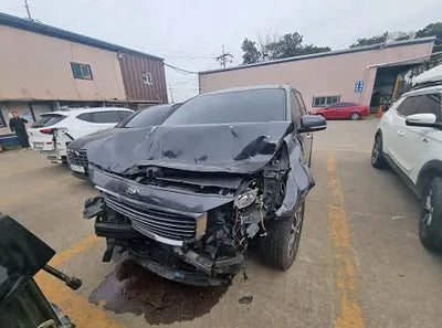2016 Kia Carnival KNAMB81ABGS096044 VIN:KNAMB81ABGS096044