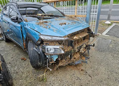 2019 Hyundai Kona KMHK7815GKU291067 VIN:KMHK7815GKU291067