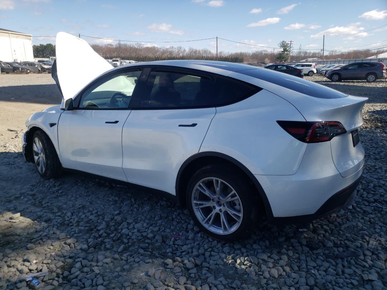 2023 TESLA MODEL Y  VIN:7SAYGDEE1PA073707