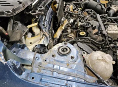 2021 Kia Sorento KNARK81BHMA089011 VIN:KNARK81BHMA089011