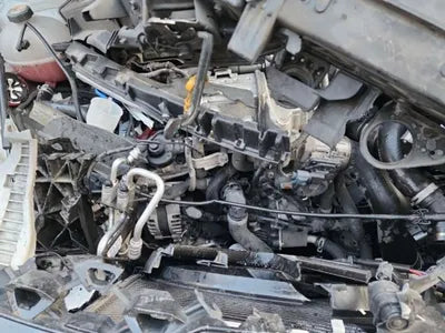 2021 Kia Sorento KNARF81BHMA039262 VIN:KNARF81BHMA039262