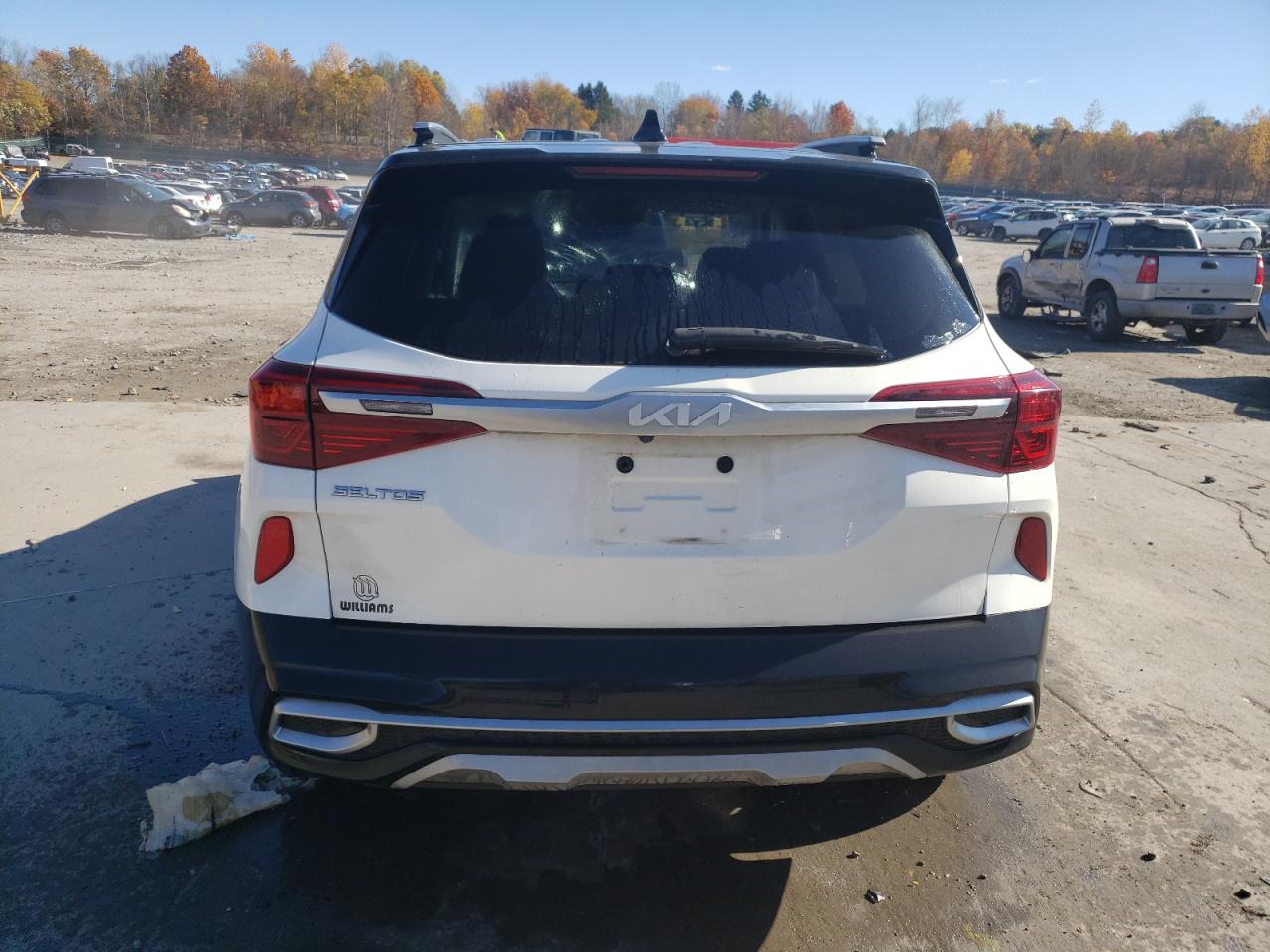 2022 KIA SELTOS S VIN:KNDEUCAA8N7296175