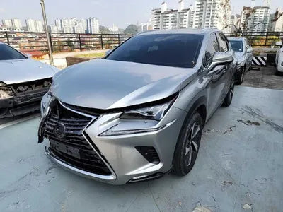 2019 Lexus NX 300 VIN: