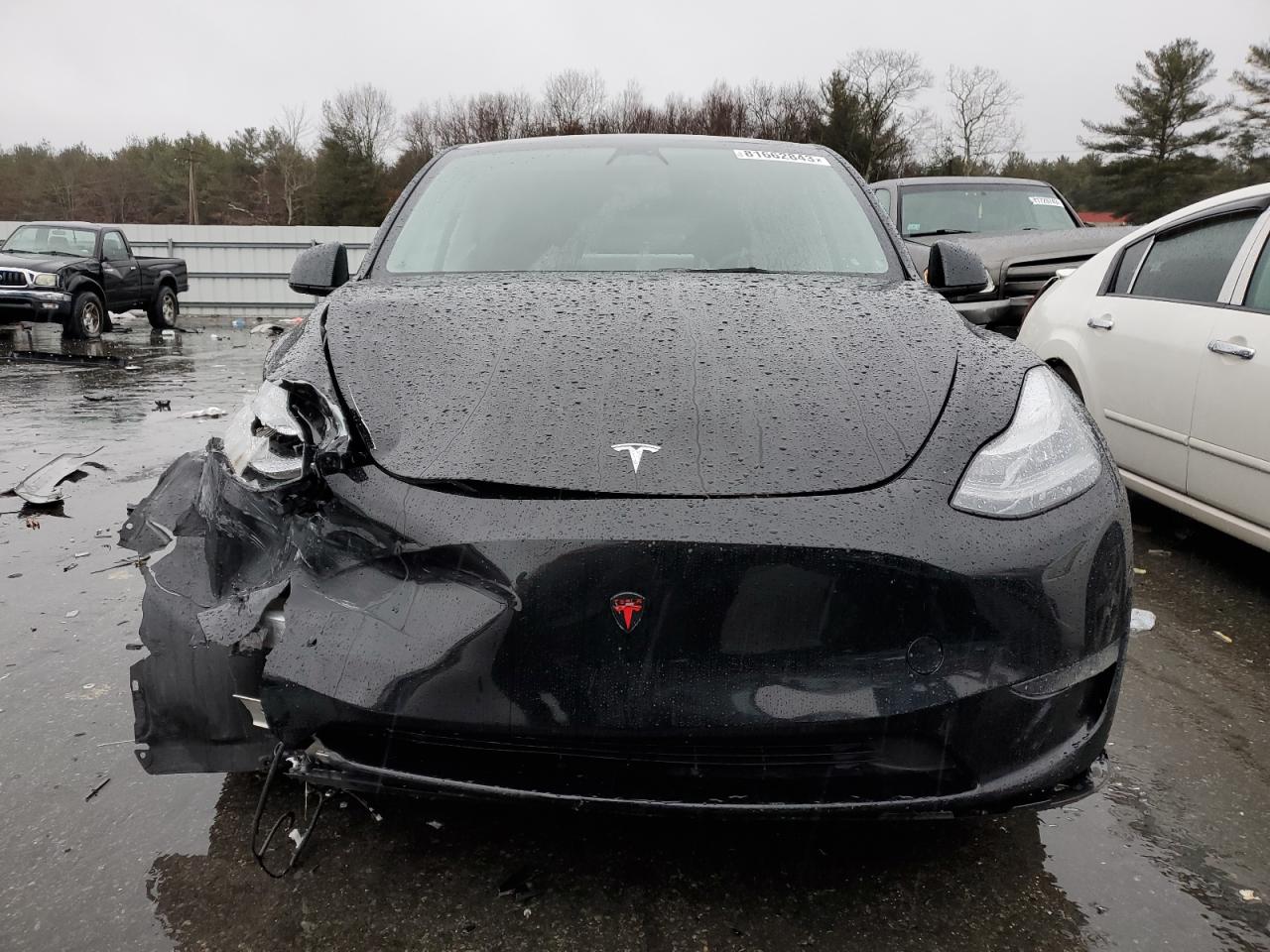 2023 TESLA MODEL Y  VIN:7SAYGDEE4PA058635