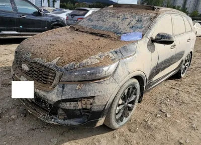 2019 Kia Sorento KNAPK81BBKA491995 VIN:KNAPK81BBKA491995