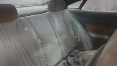 2019 Mercedes-Benz E 220 WDD1J1EBXKF096324 VIN:WDD1J1EBXKF096324