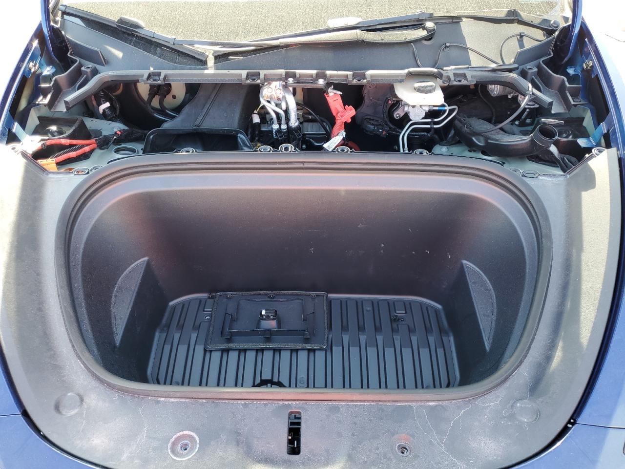 2024 TESLA MODEL Y  VIN:7SAYGDED6RF170446