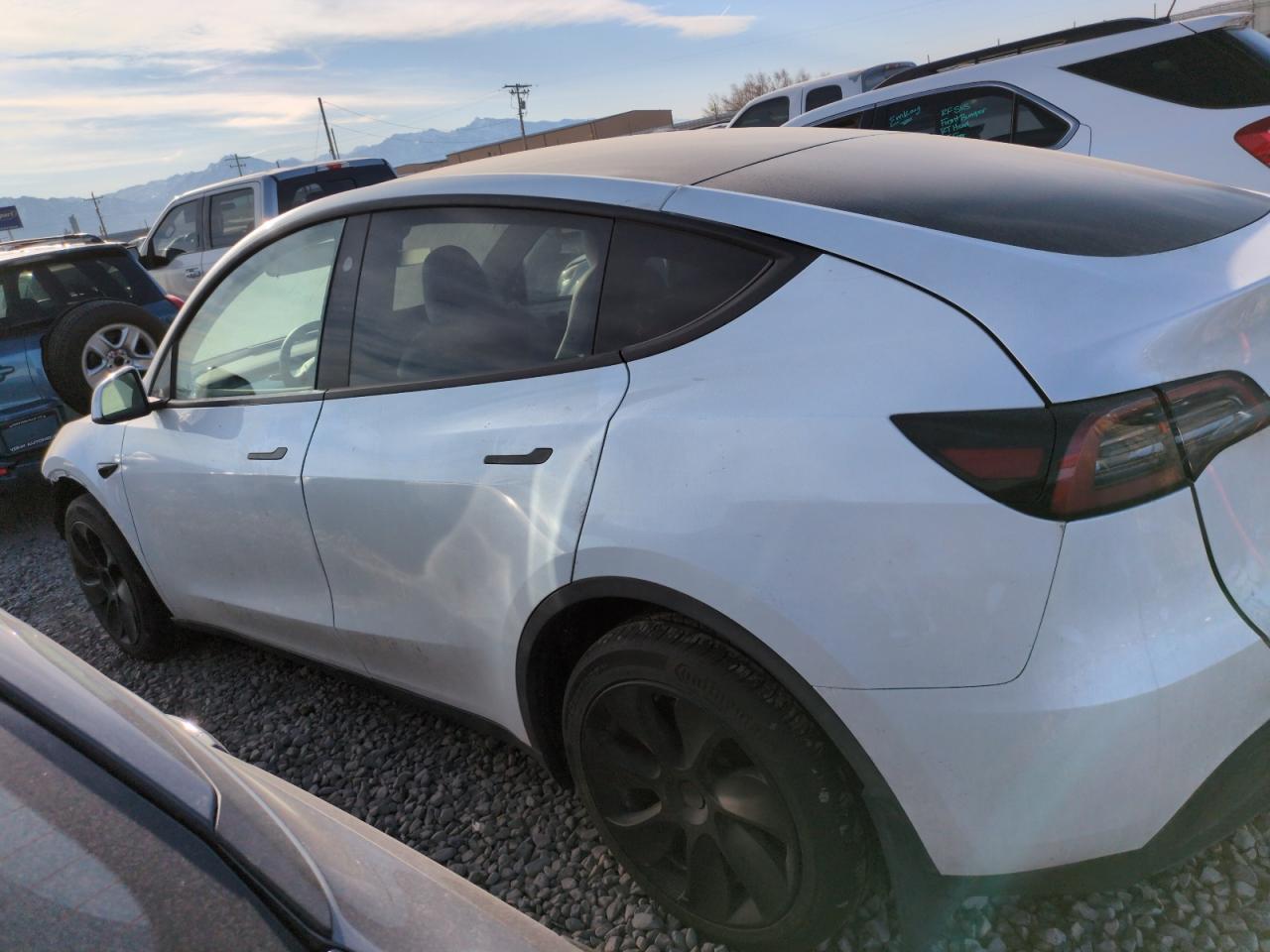 2023 TESLA MODEL Y  VIN:7SAYGDEE7PA123090