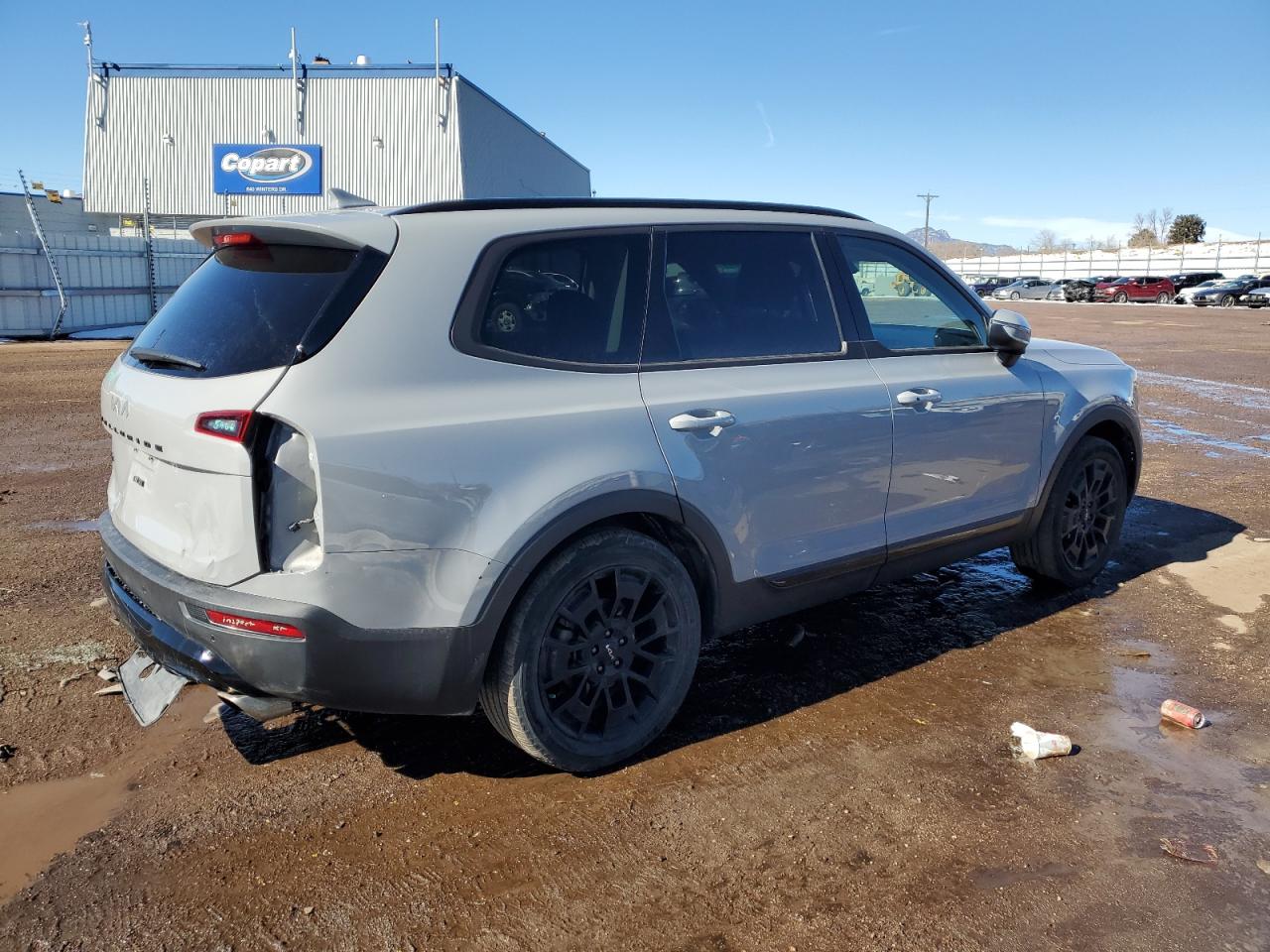 2022 KIA TELLURIDE EX VIN:5XYP3DHC8NG209046