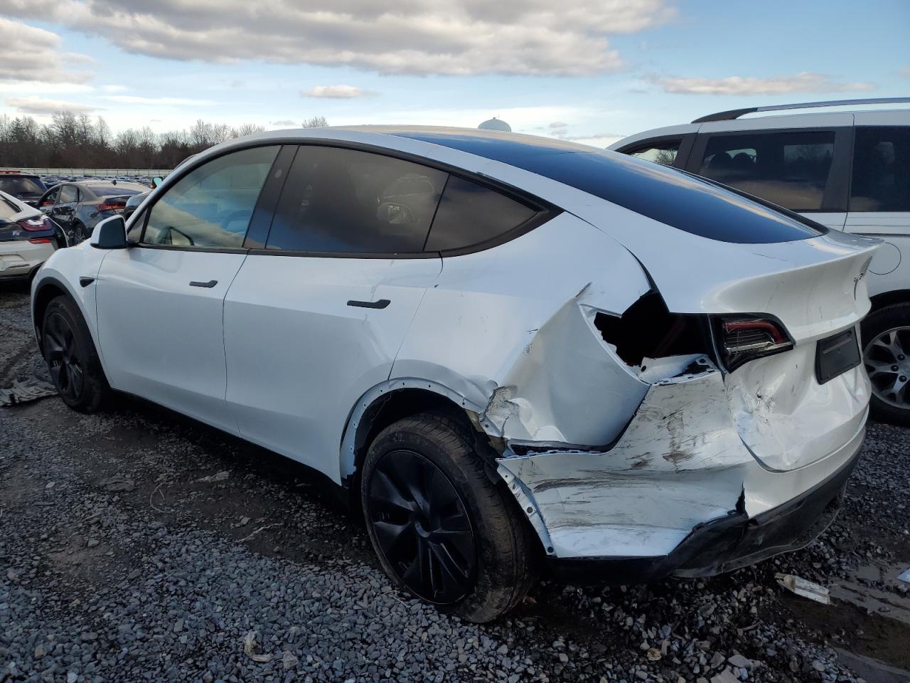 2024 TESLA MODEL Y  VIN:7SAYGDEE0RA328625