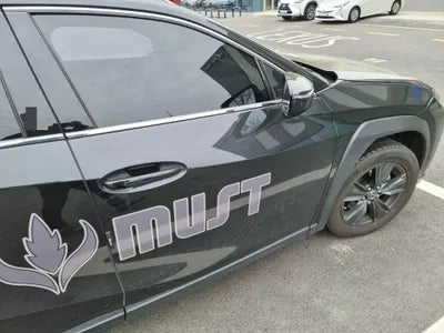 2020 Lexus UX 250 JTHP6JBH2L2072895 VIN:JTHP6JBH2L2072895