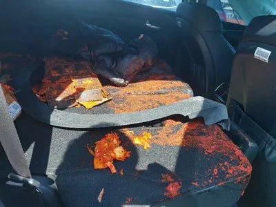 2019 Hyundai Santa FE KMHS281BBKU161615 VIN:KMHS281BBKU161615