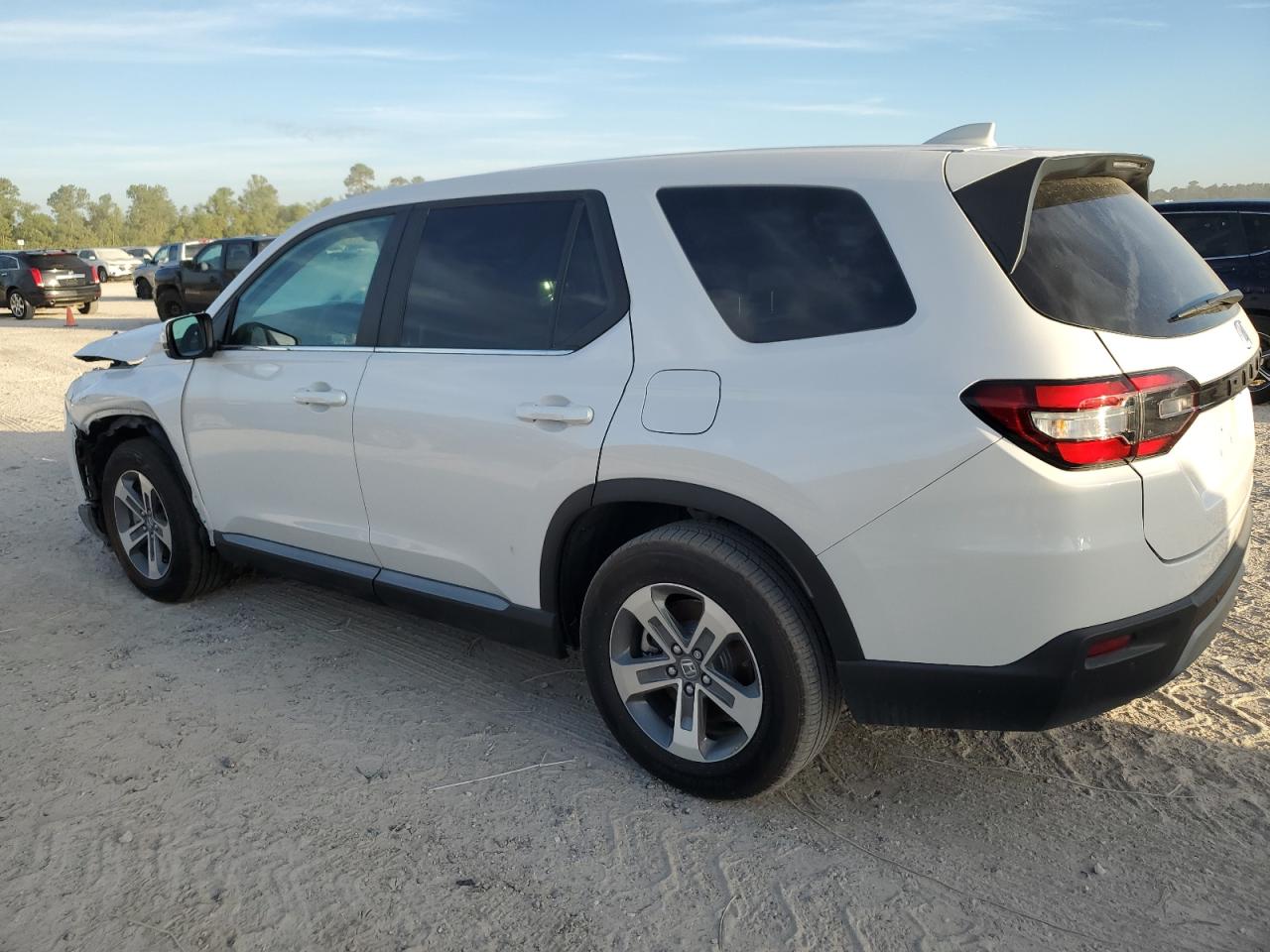 2024 HONDA PILOT EXL VIN:5FNYG2H42RB005099