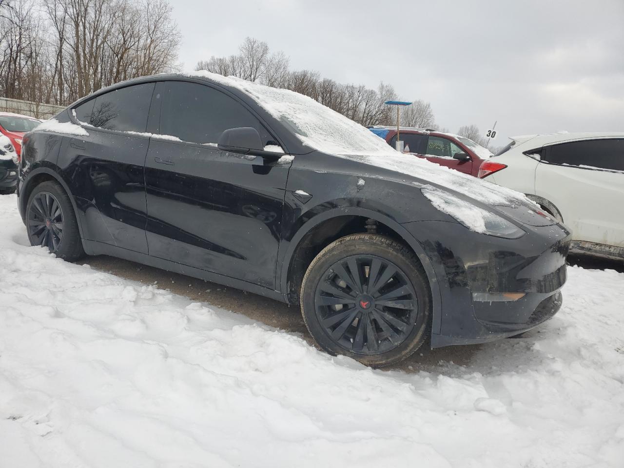 2023 TESLA MODEL Y  VIN:7SAYGDEE9PA181525