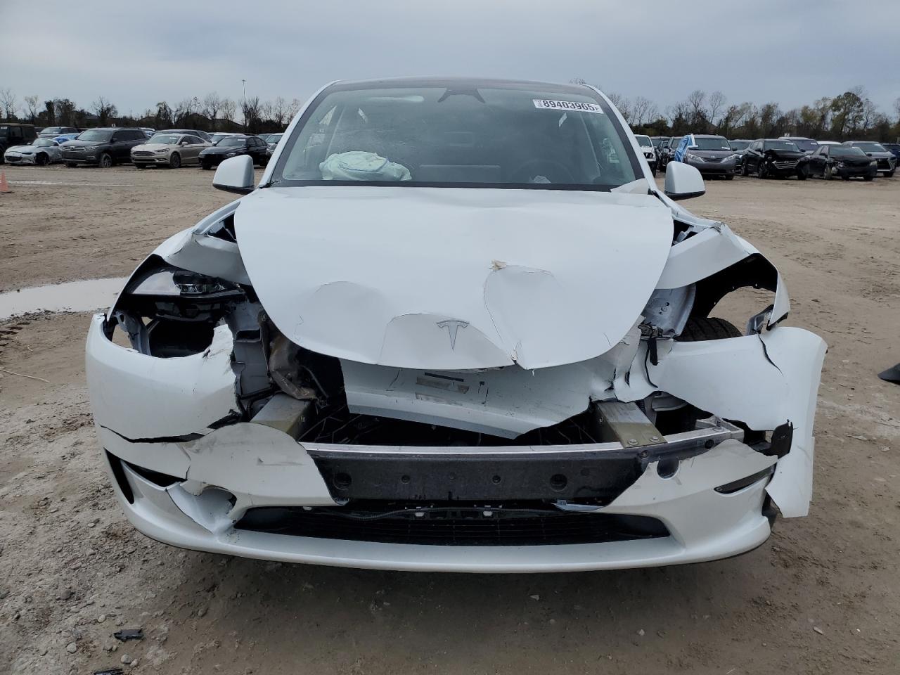 2024 TESLA MODEL Y  VIN:7SAYGDED4RF055537
