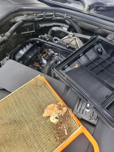 2020 Mercedes-Benz S 450 VIN: