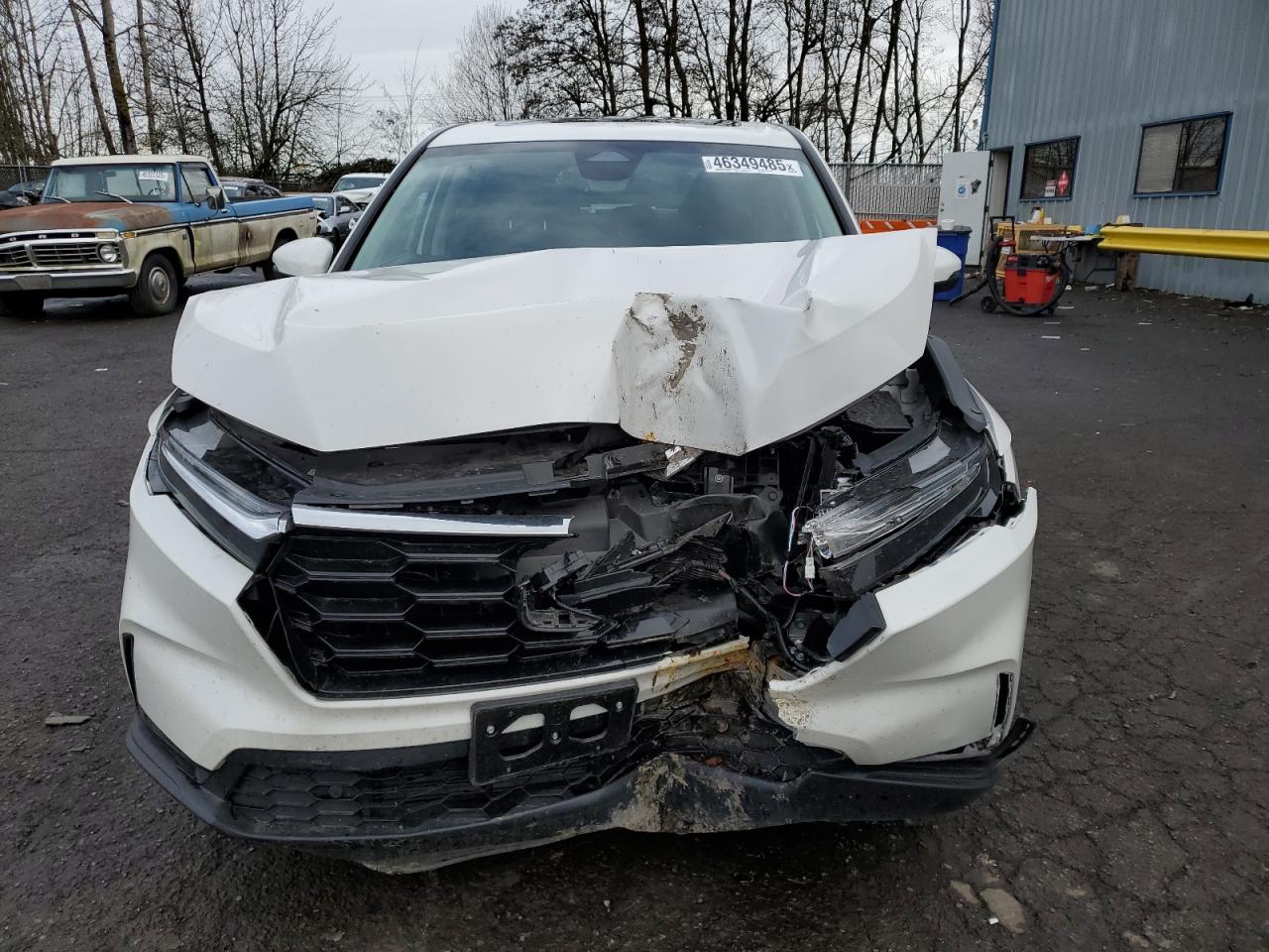 2024 HONDA CR-V EXL VIN:5J6RS4H7XRL012110