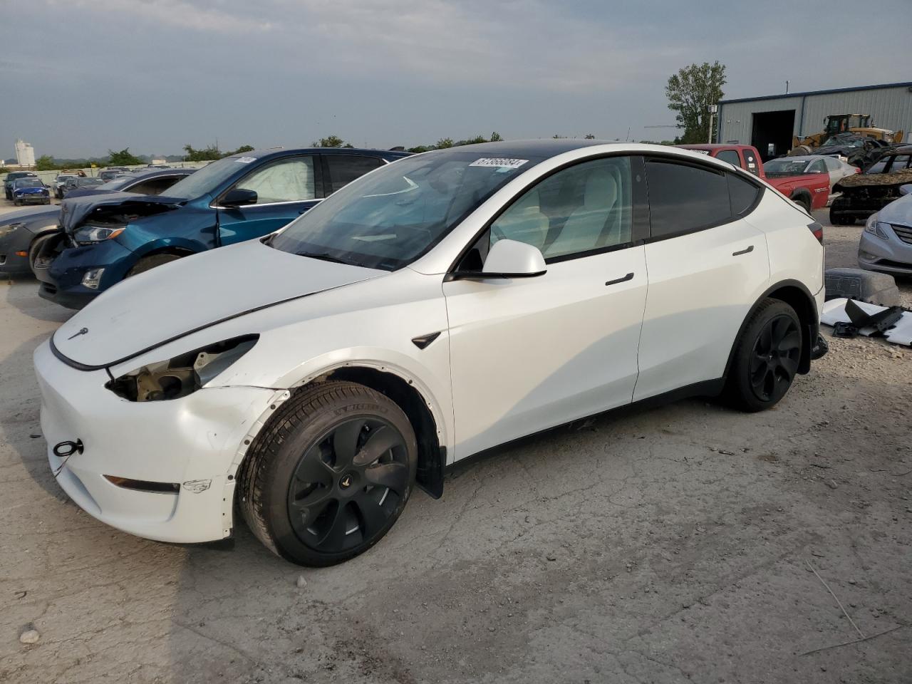 2023 TESLA MODEL Y  VIN:7SAYGDEE4PF810174