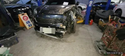2019 Kia Sportage KNAPN813BKK619668 VIN:KNAPN813BKK619668