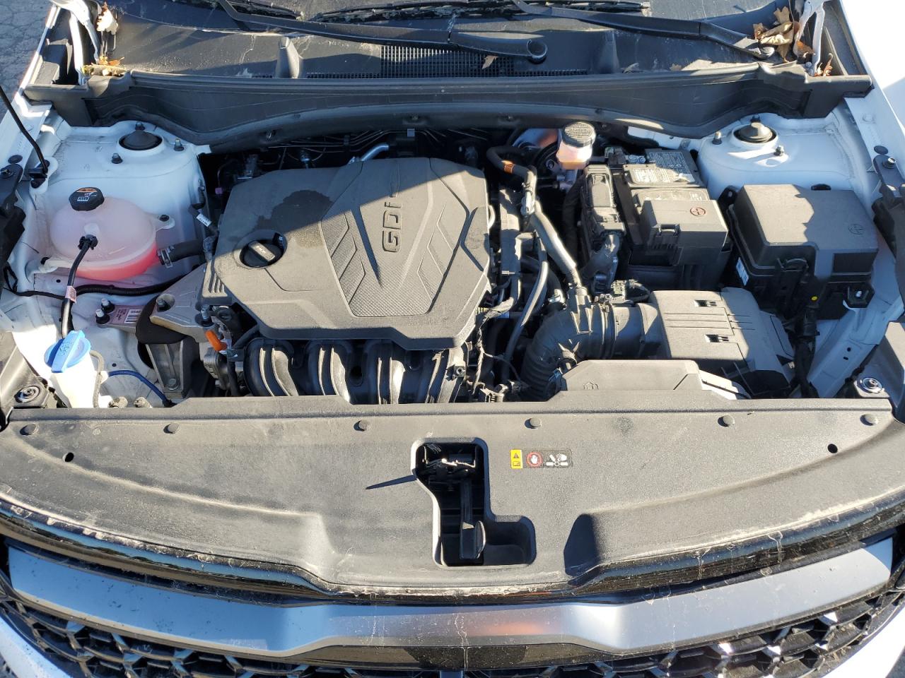 2023 KIA SPORTAGE X-PRO VIN:5XYK7CAF6PG099503