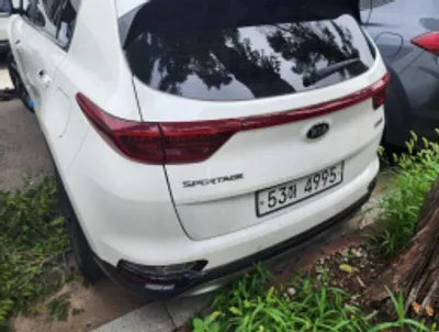 2019 Kia Sportage KNAPL812GKK565456 VIN:KNAPL812GKK565456