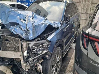 2021 Kia Sorento KNARH81BGMA062553 VIN:KNARH81BGMA062553