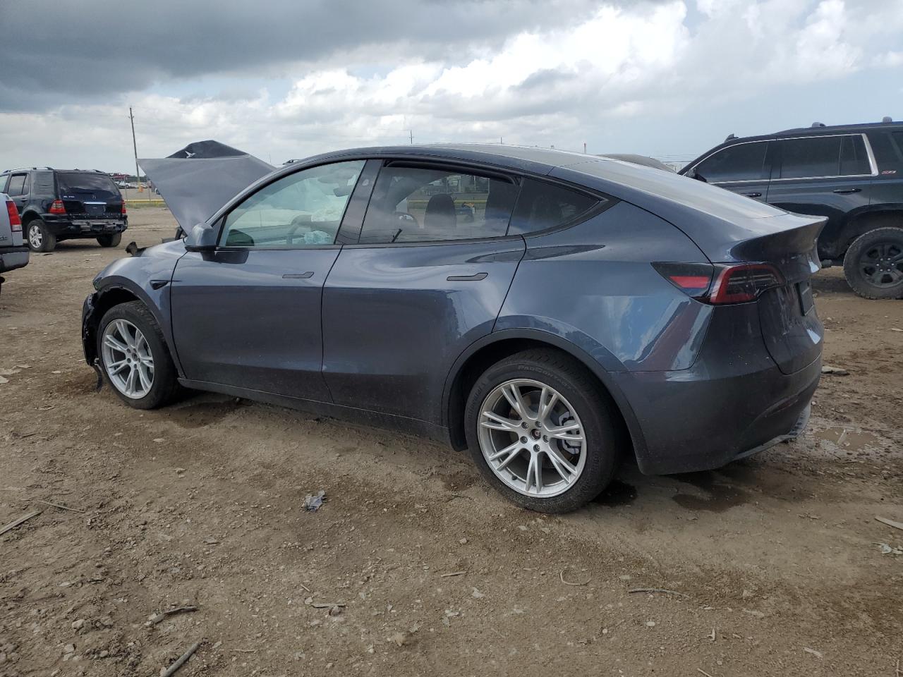 2023 TESLA MODEL Y  VIN:7SAYGDEE3PA199616