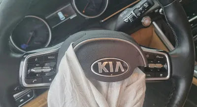2021 Kia Carnival KNANB81BBMS026208 VIN:KNANB81BBMS026208