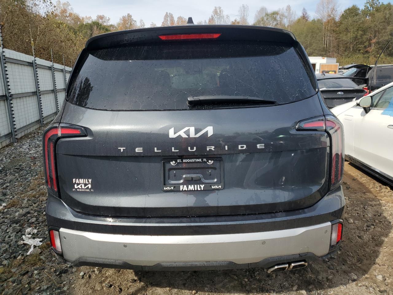 2024 KIA TELLURIDE EX VIN:5XYP34GC2RG425904