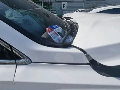 2021 Hyundai Santa FE KMHS281HGMU361574 VIN:KMHS281HGMU361574