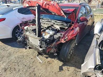 2020 Hyundai Kona KMHK381EGLU034788 VIN:KMHK381EGLU034788