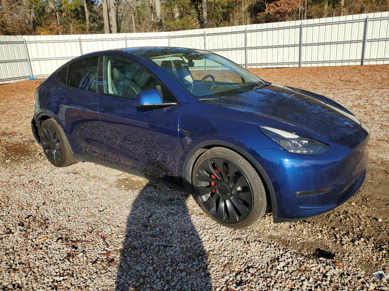 2022 TESLA MODEL Y  VIN:7SAYGDEF6NF546431