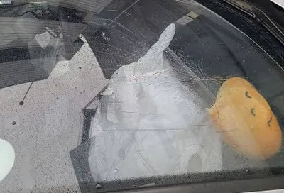 2016 Audi A6 WAUZZZ4G1GN083554 VIN:WAUZZZ4G1GN083554