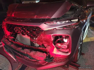 2019 Hyundai Santa FE KMHS281BBKU186705 VIN:KMHS281BBKU186705