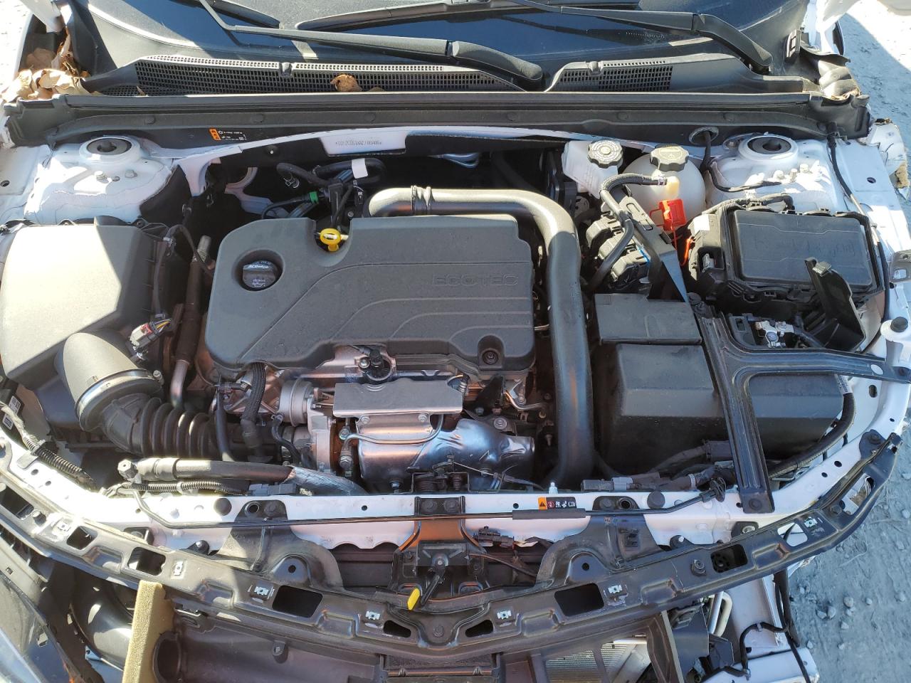 2024 CHEVROLET MALIBU LS VIN:1G1ZC5STXRF195885