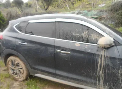 2019 Hyundai Tucson KMHJ5812GKU906089 VIN:KMHJ5812GKU906089