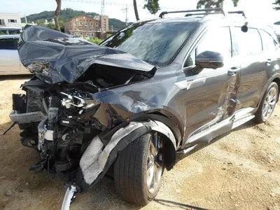 2020 Kia Sorento KNARL81BHMA024710 VIN:KNARL81BHMA024710